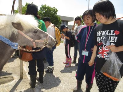http://www.fukuiminami-sh.ed.jp/news/images/20150610horsepark06.jpg